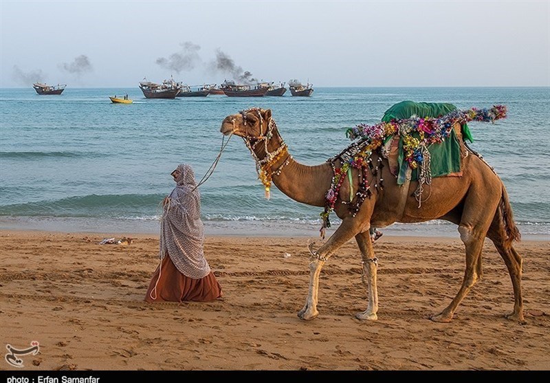 Official Denies Reports of Missing, Injured Fishermen in US Attack South of Iran