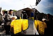فعالیت موکب ام ائمه (ع) قرارگاه جهادی اربعینی ها