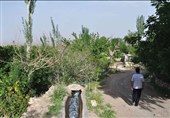رقص شکوفه‌ها در «نوغاب»؛ روایت تسنیم از بیداری طبیعت پس از خشکسالی