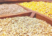 توزیع بیش از 146 هزار تن نهاده دام و طیور در قزوین