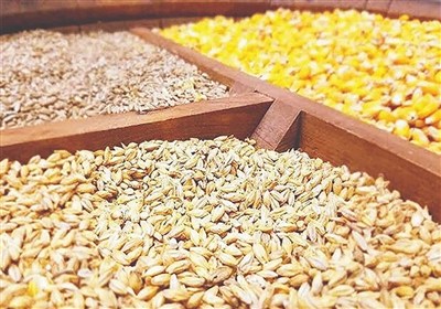 گوشت کالای لوکس نیست؛ 5 مطالبه جدی بسیج دانشجویی تبریز از جهاد کشاورزی