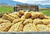 Скачок цен на картофель в Европе на 700% на фоне кризиса в Ормузском проливе