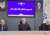 ضرب‌الاجل استاندار خراسان جنوبی برای پرداخت سریع تسهیلات اشتغال