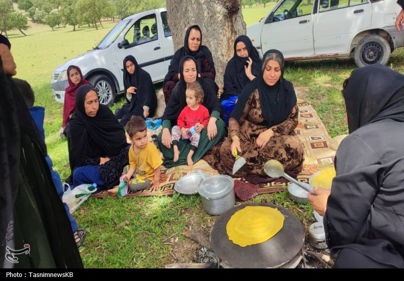 اخبار کهگیلویه , نهاد کتابخانهها ,