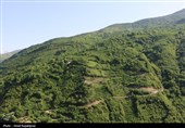 «اشکور»بهشت گمشده رحیم‌آباد در قرق اردیبهشت