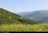 «اشکور»بهشت گمشده رحیم‌آباد در قرق اردیبهشت