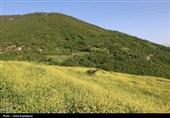 «اشکور»بهشت گمشده رحیم‌آباد در قرق اردیبهشت