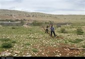 بازگشت زمین‌های ملی به بیت‌المال؛ هشدار جدی منابع طبیعی به زمین‌خواران
