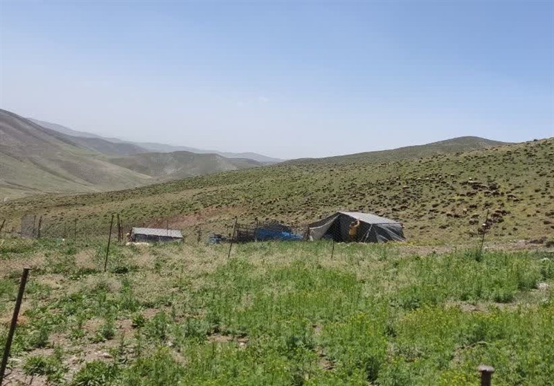 اخبار استان همدان , 