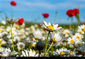 הטבע היפהפה של חורמאבאד
