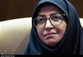 انصاری: حفاظت از محیط‌زیست ضرورتی راهبردی برای امنیت ملی است