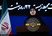 شینا انصاری رئیس سازمان حفاظت محیط زیست