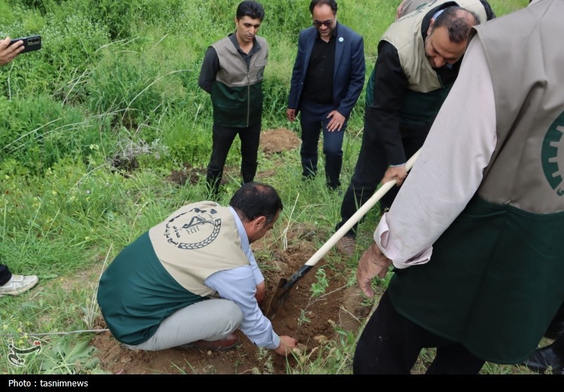 اخبار سنندج , اخبار استان کردستان , بسیج سازندگی ,