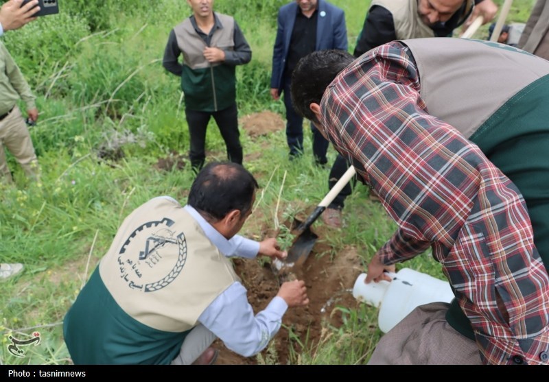 اخبار سنندج , اخبار استان کردستان , بسیج سازندگی ,