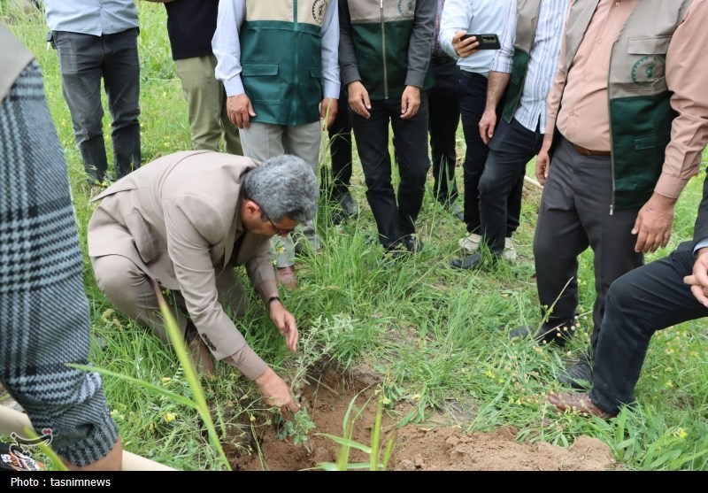 اخبار سنندج , اخبار استان کردستان , بسیج سازندگی ,