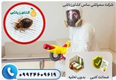 سمپاشی ساس تهران با ضمانت توسط شرکت سمپاشی ساس کشاورزباشی