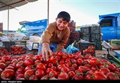 بازار روز بجنورد