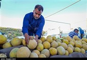 بازار روز بجنورد