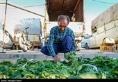 بازار روز بجنورد