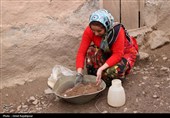 «گلکار» نوسازی خانه‌های قدیمی به سبک نیاکان در روستای کشایه اشکور