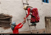 «گلکار» نوسازی خانه‌های قدیمی به سبک نیاکان در روستای کشایه اشکور