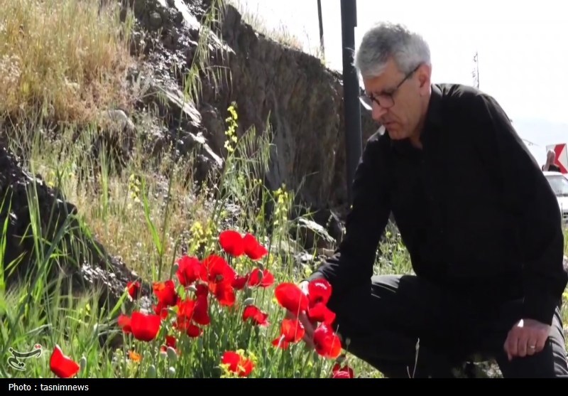 بازدید بقایی از پارک سنندج؛ وقتِ فعال‌سازی ظرفیت مرزی کردستان است