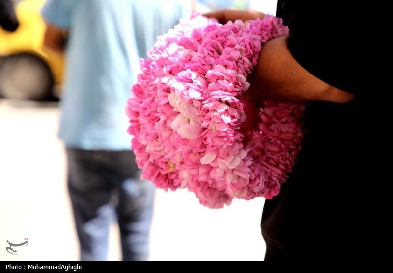 کاشان , اخبار کاشان , گردشگری , 