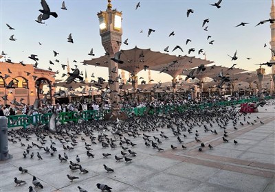 تأکیدبر اهمیت حضور شیعیان در مدینه منوره و تجدید میثاق با امامان معصوم