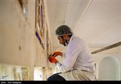 احیا و مرمت عمارت باغ گیاه شناسی ارم شیراز