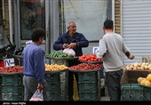 نبض زندگی در زنجان