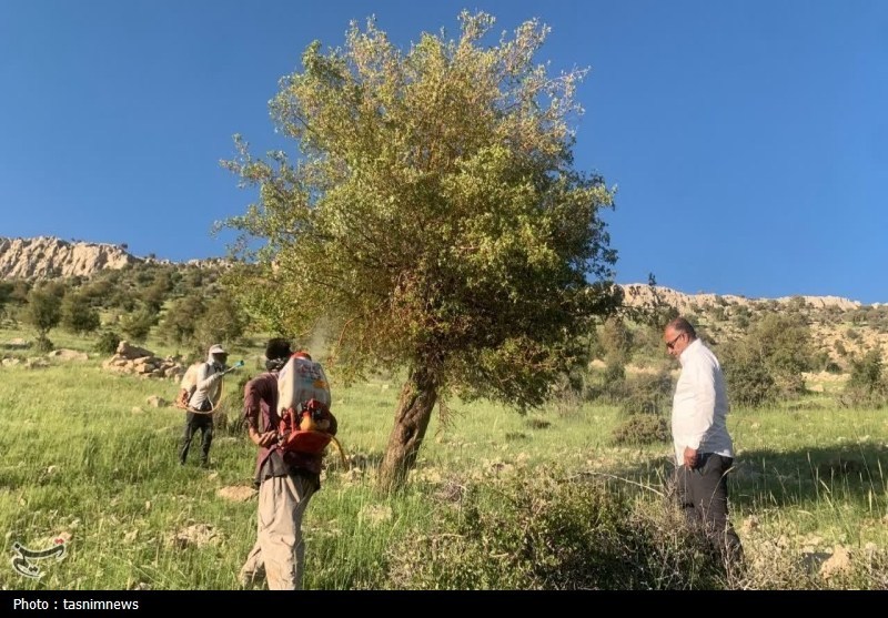 سازمان منابع طبیعی , اخبار استان کهگیلویه و بویراحمد , 
