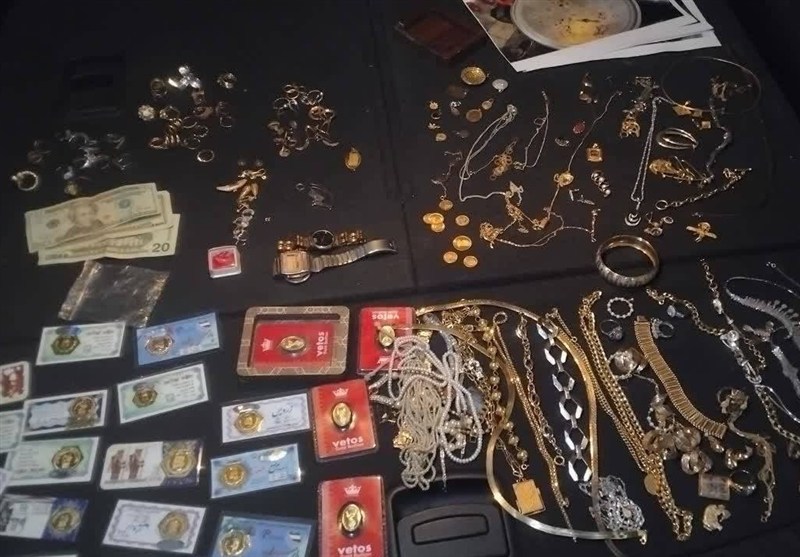 سرقت , عملیات پلیس ,
