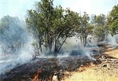 یک‌سال پس از فاجعه آبیدر؛حقوق جان‌باختگان و مصدومان آتش‌سوزی پرداخت شد