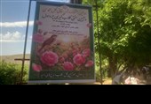 کشاورزان نقش حیاتی  در پایداری تولید و تأمین امنیت غذایی دارند