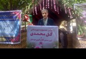 توسعه کشت گل محمدی‌ در ایلام