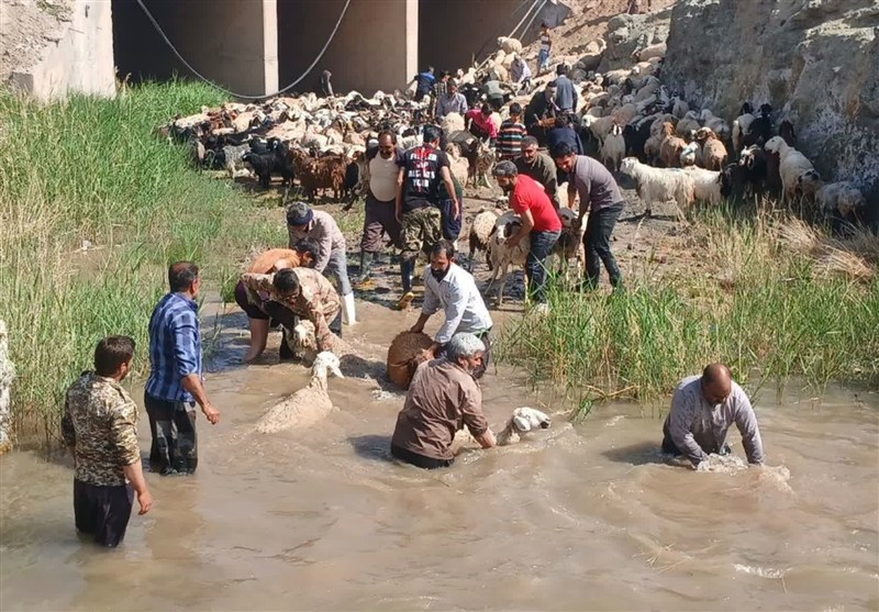 اخبار استان خراسان جنوبی , گردشگری , نظام مسائل استان خراسان جنوبی ,