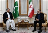 Araqchi: Iran Serious about Diplomacy, Fully Prepared for Defense