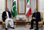 دیدار وزیر کشور پاکستان با عراقچی