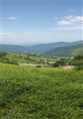 بهار رنگ‌ارنگ اردبیل؛ از دامنه‌های سبلان تا وسعت گل‌زارهای حیران