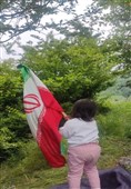 بهار رنگ‌ارنگ اردبیل؛ از دامنه‌های سبلان تا وسعت گل‌زارهای حیران