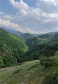 بهار رنگ‌ارنگ اردبیل؛ از دامنه‌های سبلان تا وسعت گل‌زارهای حیران