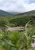 بهار رنگ‌ارنگ اردبیل؛ از دامنه‌های سبلان تا وسعت گل‌زارهای حیران