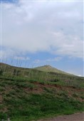 بهار رنگ‌ارنگ اردبیل؛ از دامنه‌های سبلان تا وسعت گل‌زارهای حیران