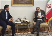 رایزنی سفیر ارمنستان با تخت روانچی
