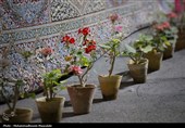 جشن ازدواج جانفداها در تجمعات مردمی کرمان