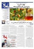 روزنامه بوشهر در 31 اردیبهشت ماه