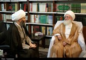 آیت‌الله نوری همدانی: در عرصه میدان و دیپلماسی باید وحدت داشته باشیم