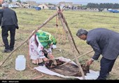 جشنواره کوچ عشایر درجعفر آباد مغان