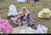 جشنواره کوچ عشایر درجعفر آباد مغان