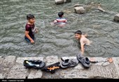 حس زندگی پس از باران...